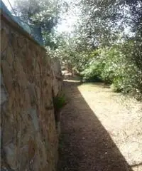 Vendita Agricolo in Largo Vescovado