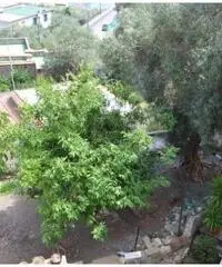 Vendita Quadrilocali in via palmento