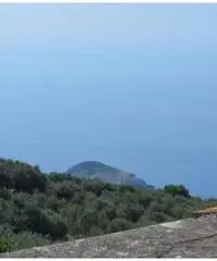 Vendita Multilocale in via monticello Vendita Multilocale in via monticello