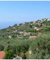 Vendita Multilocale in via monticello Vendita Multilocale in via monticello