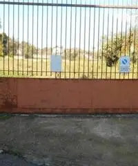 Affitto Agricolo in Via Spinelli