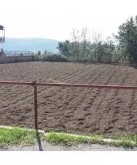 Vendita Agricolo in Via Marmolito Vendita Agricolo in Via Marmolito