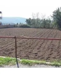 Vendita Agricolo in Via Marmolito Vendita Agricolo in Via Marmolito