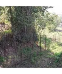 Vendita Agricolo in Via Marmolito Vendita Agricolo in Via Marmolito