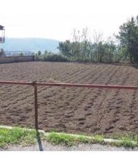Vendita Agricolo in Via Marmolito