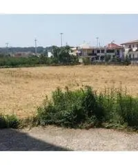 Vendita Agricolo in Via Masullo
