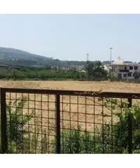 Vendita Agricolo in Via Masullo