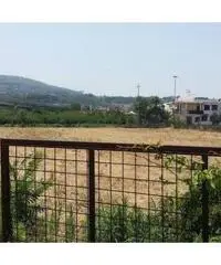 Vendita Agricolo in Via Masullo