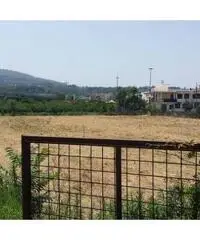 Vendita Agricolo in Via Masullo