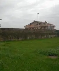 Vendita Agricolo in Via Consolare Campana Vendita Agricolo in Via Consolare Campana