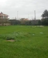 Vendita Agricolo in Via Consolare Campana Vendita Agricolo in Via Consolare Campana