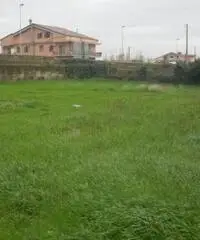Vendita Agricolo in Via Consolare Campana Vendita Agricolo in Via Consolare Campana