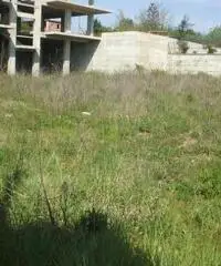 Vendita Agricolo in Via Pantaleo Vendita Agricolo in Via Pantaleo