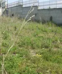 Vendita Agricolo in Via Pantaleo Vendita Agricolo in Via Pantaleo