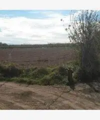 RifITI 024-tv 19 - Terreno Agricolo in Vendita a Giugliano in Campania di 1500 mq