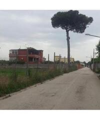 RifITI 019-20355 - Terreno Agricolo in Vendita a Giugliano in Campania - Varcaturo di 2000 mq