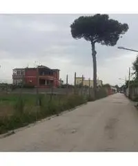 RifITI 019-20355 - Terreno Agricolo in Vendita a Giugliano in Campania - Varcaturo di 2000 mq RifITI 019-20355 - Terreno Agricolo in Vendita a Giugliano in Campania - Varcaturo di 2000 mq