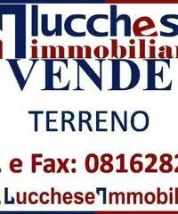 Professionale terreno edificabile mq 10000 Euro 200.000 Professionale terreno edificabile mq 10000 Euro 200.000