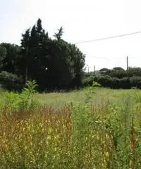 Monterusciello: Vendita Agricolo in Via Giuseppe Parini Monterusciello: Vendita Agricolo in Via Giuseppe Parini