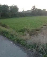 Lido Di Licola: Vendita Agricolo in Via Santa Maria Goretti