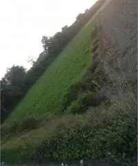 Lido Di Licola: Vendita Agricolo in Via Santa Maria Goretti