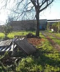 RifITI 027-279 - Terreno Agricolo in Vendita a Sant'Antimo di 1600 mq RifITI 027-279 - Terreno Agricolo in Vendita a Sant'Antimo di 1600 mq
