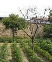 RifITI 027-465 - Terreno Agricolo in Vendita a Sant'Antimo di 850 mq RifITI 027-465 - Terreno Agricolo in Vendita a Sant'Antimo di 850 mq