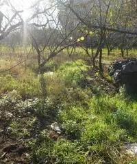 RifITI 019-21610 - Terreno Agricolo in Vendita a Qualiano di 3000 mq