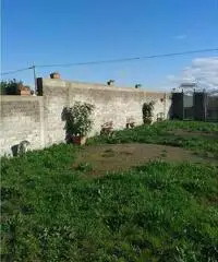 RifITI 019-SU21962 - Terreno Agricolo in Affitto a Qualiano di 800 mq RifITI 019-SU21962 - Terreno Agricolo in Affitto a Qualiano di 800 mq