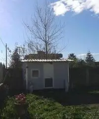 RifITI 019-SU21962 - Terreno Agricolo in Affitto a Qualiano di 800 mq RifITI 019-SU21962 - Terreno Agricolo in Affitto a Qualiano di 800 mq