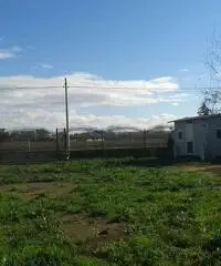 RifITI 019-SU21962 - Terreno Agricolo in Affitto a Qualiano di 800 mq RifITI 019-SU21962 - Terreno Agricolo in Affitto a Qualiano di 800 mq
