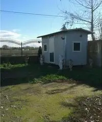 RifITI 019-SU21962 - Terreno Agricolo in Affitto a Qualiano di 800 mq RifITI 019-SU21962 - Terreno Agricolo in Affitto a Qualiano di 800 mq