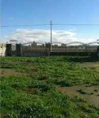 RifITI 019-SU21962 - Terreno Agricolo in Affitto a Qualiano di 800 mq RifITI 019-SU21962 - Terreno Agricolo in Affitto a Qualiano di 800 mq