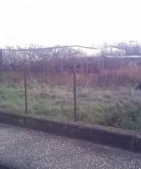 Guadagni: Vendita Agricolo in Via Aurora Guadagni: Vendita Agricolo in Via Aurora