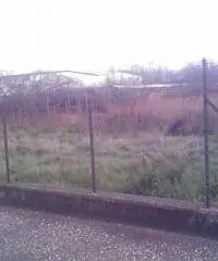 Guadagni: Vendita Agricolo in Via Aurora Guadagni: Vendita Agricolo in Via Aurora