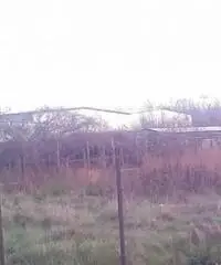 Guadagni: Vendita Agricolo in Via Aurora Guadagni: Vendita Agricolo in Via Aurora