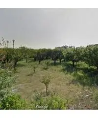 Vendita Agricolo in Via Masarda Vendita Agricolo in Via Masarda