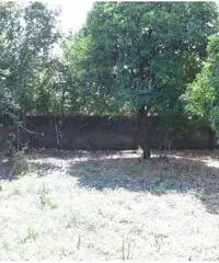 Vendita Immobile in Via Marchesa