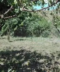 Vendita Agricolo da 423mq