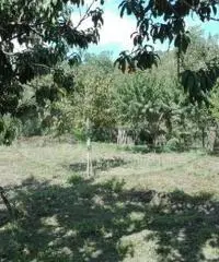 Vendita Agricolo da 423mq