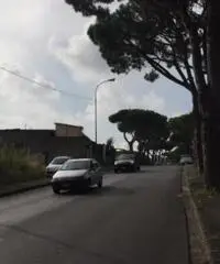 Affitto Agricolo in Via Sacerdote Cozzolino Benedetto, 0 Affitto Agricolo in Via Sacerdote Cozzolino Benedetto, 0