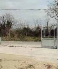 Affitto Agricolo in Via Pomigliano Affitto Agricolo in Via Pomigliano