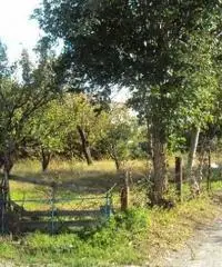 Vendita Agricolo in Via Marra Vendita Agricolo in Via Marra