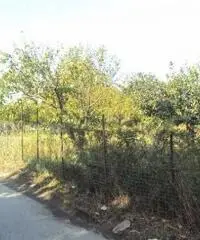Vendita Agricolo in Via Marra Vendita Agricolo in Via Marra