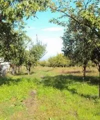 Vendita Agricolo in Via Marra