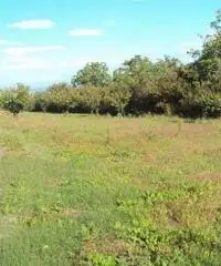 Vendita Agricolo in Via Marra Vendita Agricolo in Via Marra
