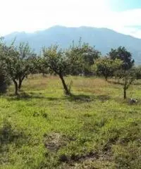 Vendita Agricolo in Via Marra Vendita Agricolo in Via Marra