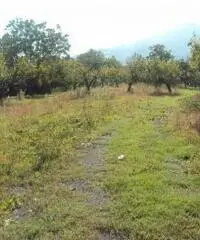 Vendita Agricolo in Via Marra Vendita Agricolo in Via Marra