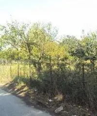 Vendita Agricolo in Via Marra Vendita Agricolo in Via Marra