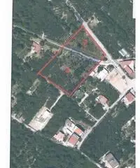 Vendita Agricolo in Via Provinciale Fressuriello Vendita Agricolo in Via Provinciale Fressuriello